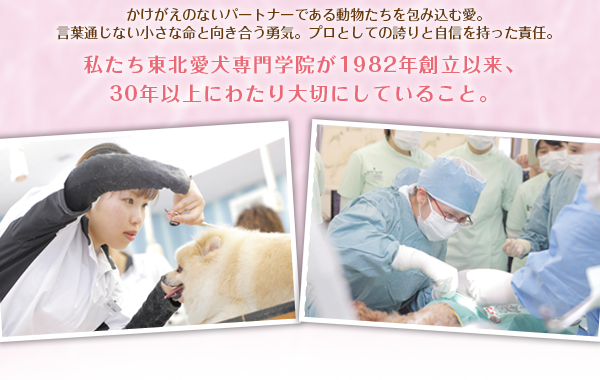 東北愛犬ポイント付きバナー