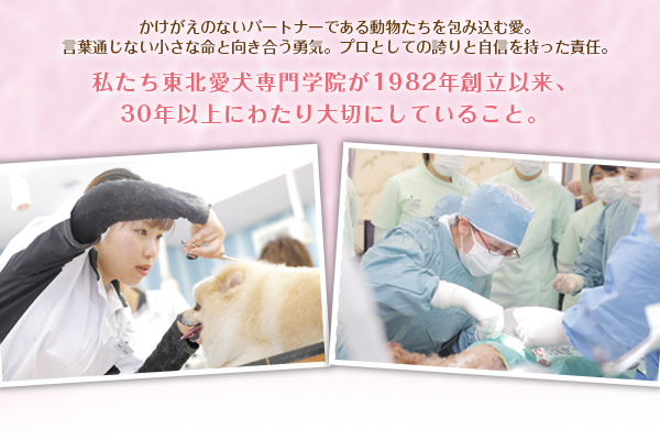 東北愛犬ポイント付きバナー