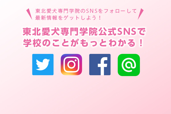 sns告知アイキャッチ