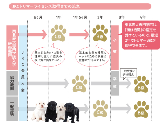 JKCトリマーライセンス取得までの流れ