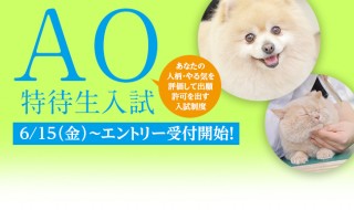 AO入試告知アイキャッチH30