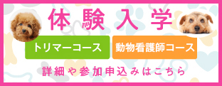 東北愛犬専門学校体験入学2024