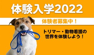 東北愛犬専門学校体験入学2022