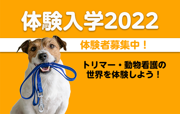 東北愛犬専門学校体験入学2022