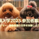 体験入学2023参加者募集 イメージ